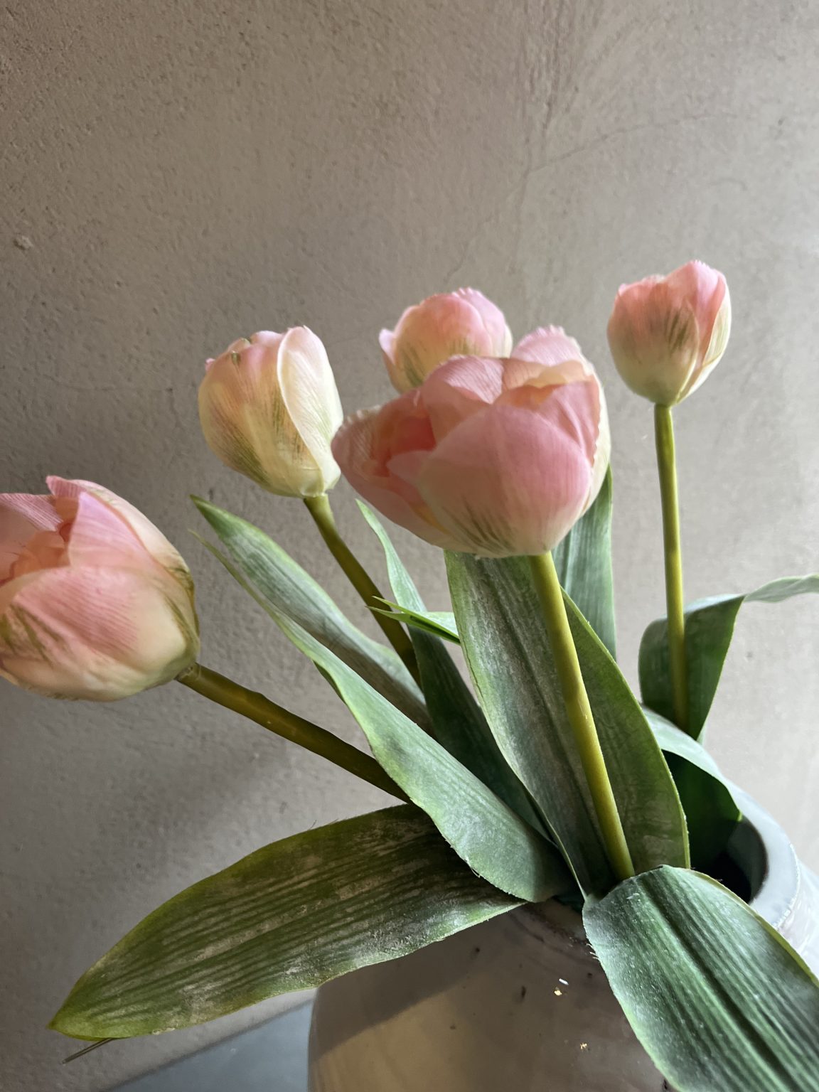 Soft Pink Tulips - Kirklands